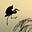 Philip Yabut's avatar