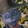 Tillerz's avatar
