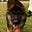 DogsTeachPeople's avatar