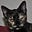 Chas's avatar