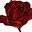 rose's avatar