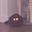 Udoka's avatar