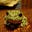 Froggie Forest's avatar