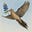 John Abileene's avatar