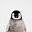 Liam's avatar