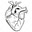 Mr. Muck's avatar