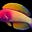 Jamlies's avatar