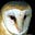 Hector Yardbird's avatar