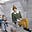 Sharon Rosenberg's avatar