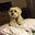 Katherine Kilpatrick's avatar