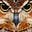Shawneea Pattee's avatar