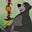 jungle's avatar
