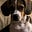 Dog Park Diaries's avatar