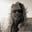 Janice Anne Wheeler's avatar