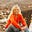 Amy Hawk's avatar