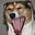 Beau Dealy's avatar