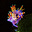 PixelleCo's avatar