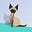 Avatar de Lylah