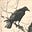 J. Claypool's avatar