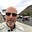 John McTigue's avatar