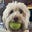 No1Listens2Me's avatar