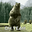 craig wilson's avatar