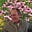 Craig Lane's avatar