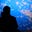 Bespoke Traveler's avatar