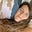 Avatar de Antonella