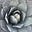 Gladiolus's avatar