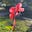 Evolve Undefined's avatar