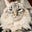 aleca's avatar