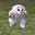 Rustam's avatar