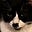 psychesemantic's avatar
