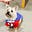 Patrick Terrill's avatar