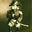 Don Pendergraft's avatar