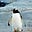 Penguing's avatar