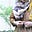 Noor Rehman Khawer's avatar