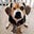 Lucky's avatar