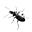 Inkbeetle: writing & the weird's avatar