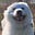 Wifflepoof's avatar