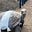 Blodders's avatar