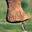 Unfiltered Mum's avatar