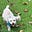 Coco Ketron's avatar
