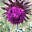 OM108's avatar