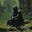 Cry Of The Deer's avatar