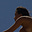 Avatar de Fernanda