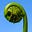 Half Wild Arts's avatar