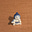 Emma Brookes's avatar