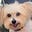 Effe's avatar